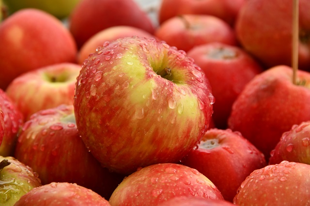 腸活にもぴったりな「りんご」！いつ食べるのが効果的？