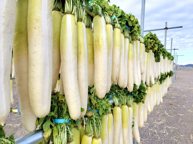 塩分や栄養バランスに注意！たくあんを食べる時の注意点について
